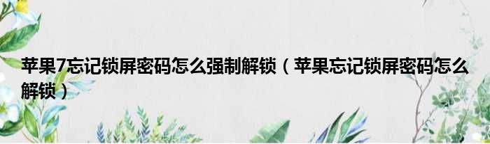 苹果7忘记锁屏密码怎么强制解锁 苹果忘记锁屏密码怎么解锁