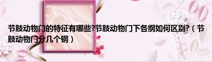 节肢动物门的特征有哪些 节肢动物门下各纲如何区别  节肢动物门分几个钢