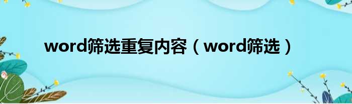 word筛选重复内容 word筛选
