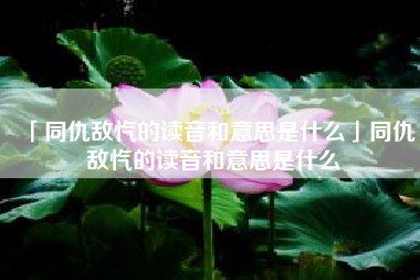  同仇敌忾的读音和意思是什么同仇敌忾的读音和意思是什么