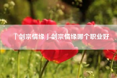  剑宗情缘剑宗情缘哪个职业好