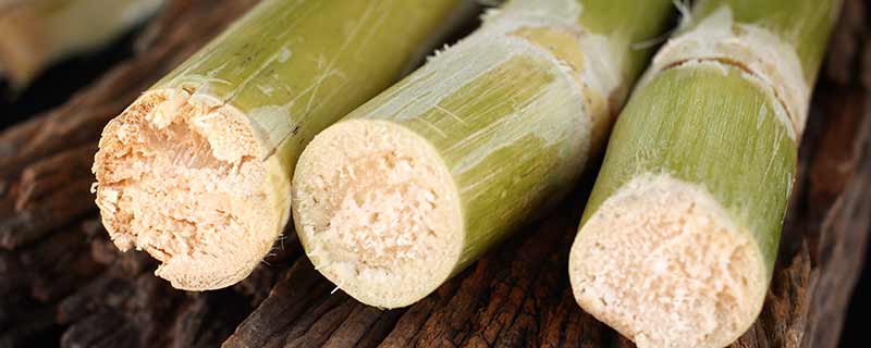 吃一根甘蔗相当于你吃了多少糖 吃一根甘蔗等于吃了多少糖