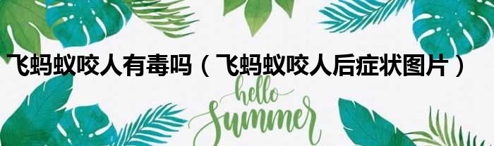 飞蚂蚁咬人有毒吗 飞蚂蚁咬人后症状图片