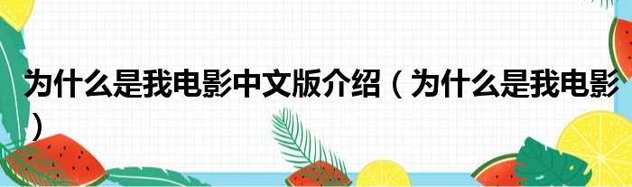 为什么是我电影中文版介绍 为什么是我电影