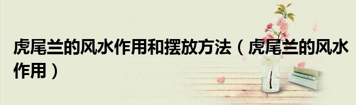 虎尾兰的风水作用和摆放方法 虎尾兰的风水作用