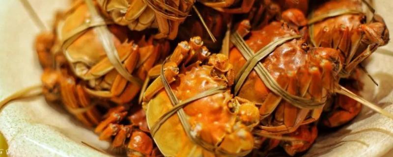 大闸蟹吃完后应该避免吃什么水果和蔬菜