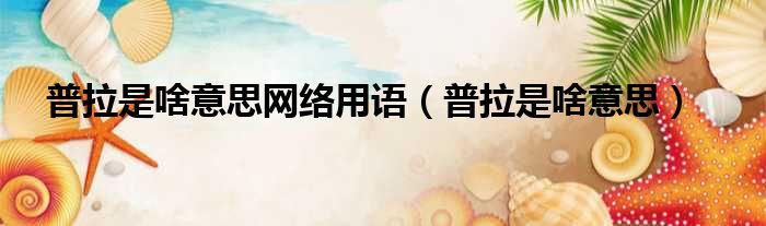 普拉是啥意思网络用语 普拉是啥意思