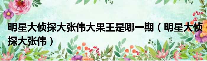 明星大侦探大张伟大果王是哪一期 明星大侦探大张伟