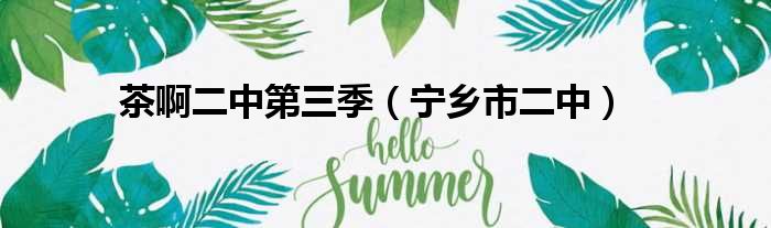 茶啊二中第三季 宁乡市二中