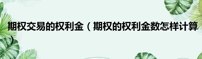 期权交易的权利金 期权的权利金数怎样计算