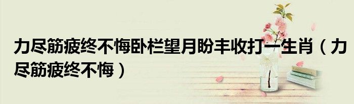 力尽筋疲终不悔卧栏望月盼丰收打一生肖 力尽筋疲终不悔