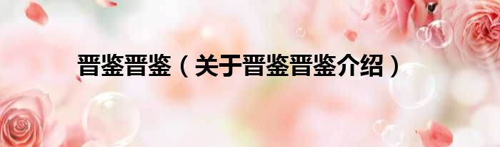 晋鉴晋鉴 关于晋鉴晋鉴介绍