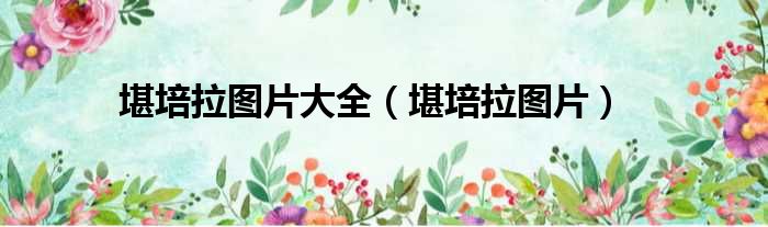 堪培拉图片大全 堪培拉图片