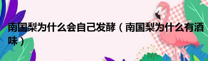 南国梨为什么会自己发酵 南国梨为什么有酒味
