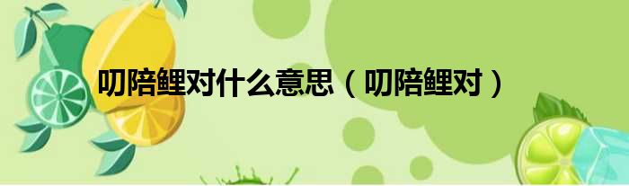 叨陪鲤对什么意思 叨陪鲤对