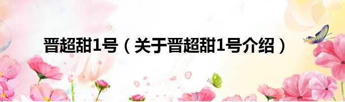 晋超甜1号 关于晋超甜1号介绍