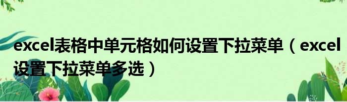 excel表格中单元格如何设置下拉菜单 excel设置下拉菜单多选