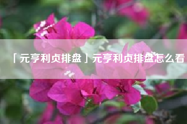  元亨利贞排盘元亨利贞排盘怎么看