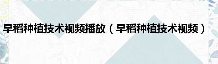 旱稻种植技术视频播放 旱稻种植技术视频