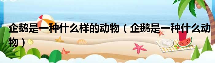 企鹅是一种什么样的动物 企鹅是一种什么动物