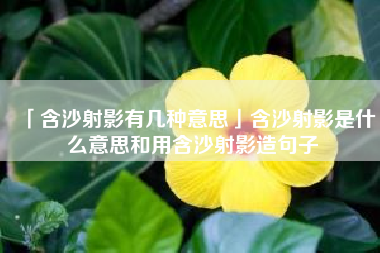  含沙射影有几种意思含沙射影是什么意思和用含沙射影造句子