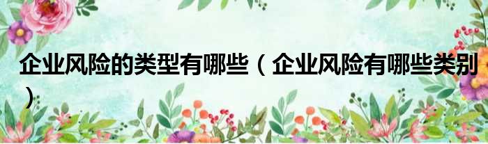 企业风险的类型有哪些 企业风险有哪些类别
