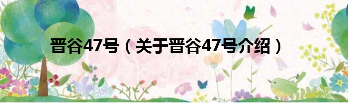 晋谷47号 关于晋谷47号介绍