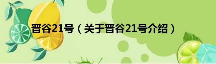 晋谷21号 关于晋谷21号介绍