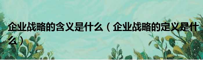 企业战略的含义是什么 企业战略的定义是什么