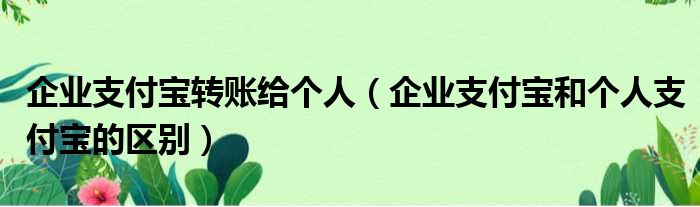 企业支付宝转账给个人 企业支付宝和个人支付宝的区别