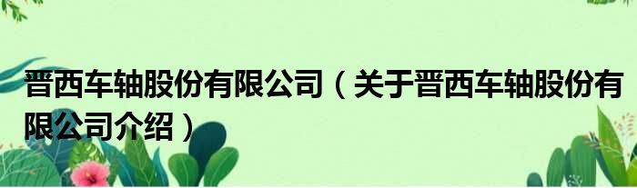 晋西车轴股份有限公司 关于晋西车轴股份有限公司介绍