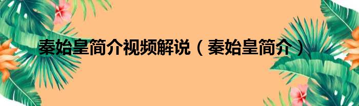 秦始皇简介视频解说 秦始皇简介