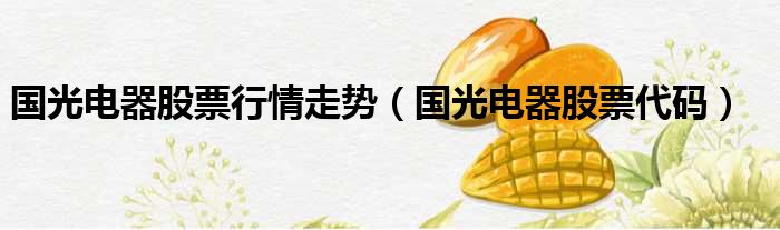 国光电器股票行情走势 国光电器股票代码