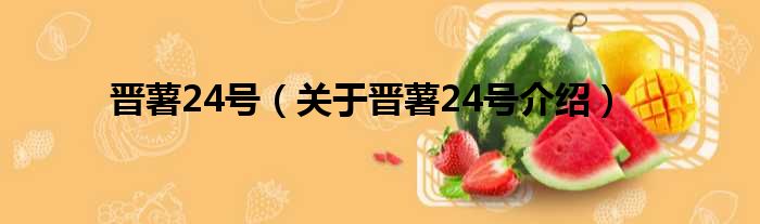 晋薯24号 关于晋薯24号介绍