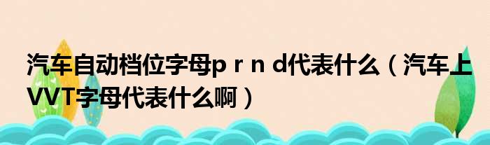 汽车自动档位字母p r n d代表什么 汽车上VVT字母代表什么啊