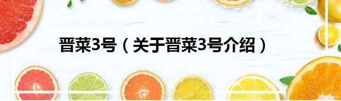 晋菜3号 关于晋菜3号介绍