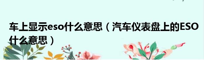 车上显示eso什么意思 汽车仪表盘上的ESO什么意思