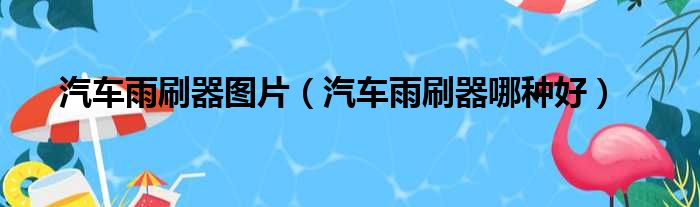 汽车雨刷器图片 汽车雨刷器哪种好