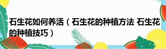 石生花如何养活 石生花的种植方法 石生花的种植技巧