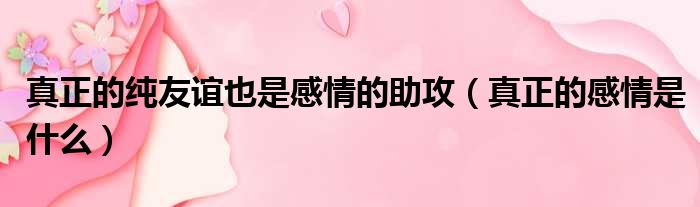 真正的纯友谊也是感情的助攻 真正的感情是什么