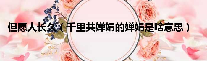 但愿人长久 千里共婵娟的婵娟是啥意思