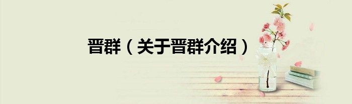 晋群 关于晋群介绍