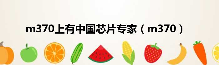 m370上有中国芯片专家 m370
