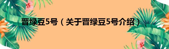 晋绿豆5号 关于晋绿豆5号介绍