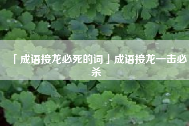  成语接龙必死的词成语接龙一击必杀