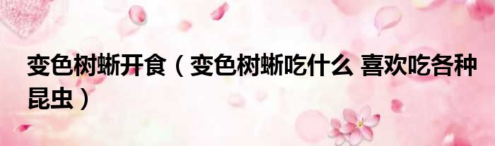 变色树蜥开食 变色树蜥吃什么 喜欢吃各种昆虫