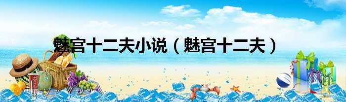 魅宫十二夫小说 魅宫十二夫