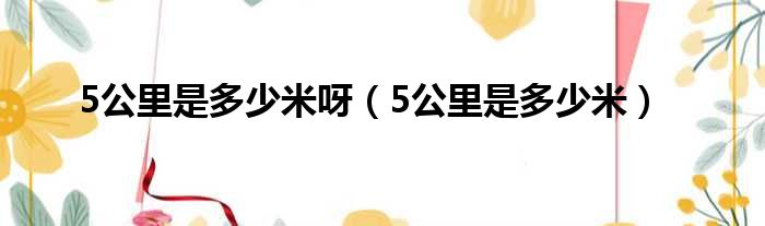 5公里是多少米呀 5公里是多少米