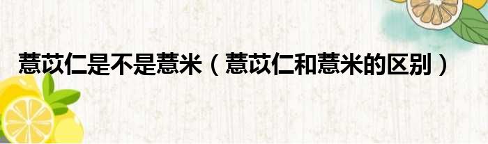 薏苡仁是不是薏米 薏苡仁和薏米的区别