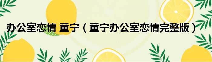 办公室恋情 童宁 童宁办公室恋情完整版